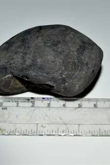 Nepal Gandaki River Original Shaligram Shila Idol Shri Vishnu For Tulsi Puja Stone Fossil In Size (Max: 7 CM) ID-267