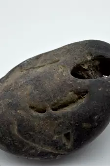 Nepal Gandaki River Original Shaligram Shila Idol Shri Vishnu For Tulsi Puja Stone Fossil In Size (Max: 7 CM) ID-268