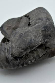 Nepal Gandaki River Original Shaligram Shila Idol Shri Vishnu For Tulsi Puja Stone Fossil In Size (Max: 7 CM) ID-269