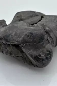 Nepal Gandaki River Original Shaligram Shila Idol Shri Vishnu For Tulsi Puja Stone Fossil In Size (Max: 7 CM) ID-269