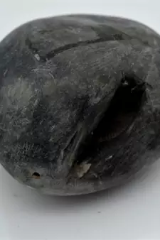 Nepal Gandaki River Original Shaligram Shila Idol Shri Vishnu For Tulsi Puja Stone Fossil In Size (Max: 7 CM) ID-270