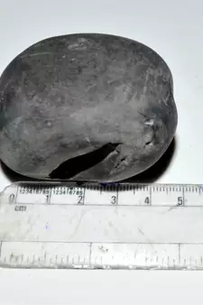 Nepal Gandaki River Original Shaligram Shila Idol Shri Vishnu For Tulsi Puja Stone Fossil In Size (Max: 7 CM) ID-270