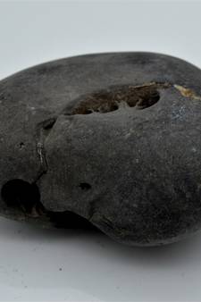 Nepal Gandaki River Original Shaligram Shila Idol Shri Vishnu For Tulsi Puja Stone Fossil In Size (Max: 7 CM) ID-271