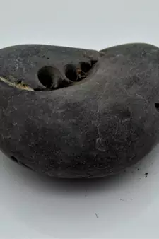 Nepal Gandaki River Original Shaligram Shila Idol Shri Vishnu For Tulsi Puja Stone Fossil In Size (Max: 7 CM) ID-271