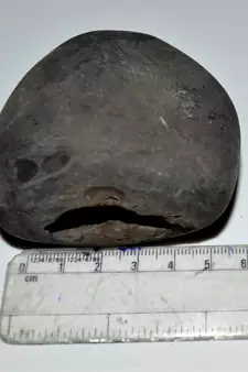 Nepal Gandaki River Original Shaligram Shila Idol Shri Vishnu For Tulsi Puja Stone Fossil In Size (Max: 7 CM) ID-272