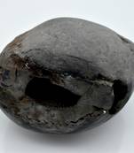 Nepal Gandaki River Original Shaligram Shila Idol Shri Vishnu For Tulsi Puja Stone Fossil In Size (Max: 7 CM) ID-277