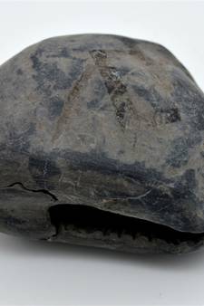 Nepal Gandaki River Original Shaligram Shila Idol Shri Vishnu For Tulsi Puja Stone Fossil In Size (Max: 7 CM) ID-278