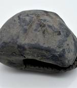 Nepal Gandaki River Original Shaligram Shila Idol Shri Vishnu For Tulsi Puja Stone Fossil In Size (Max: 7 CM) ID-278