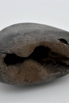 Nepal Gandaki River Original Shaligram Shila Idol Shri Vishnu For Tulsi Puja Stone Fossil In Size (Max: 7 CM) ID-279