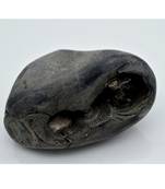 Nepal Gandaki River Original Shaligram Shila Idol Shri Vishnu For Tulsi Puja Stone Fossil In Size (Max: 7 CM) ID-280