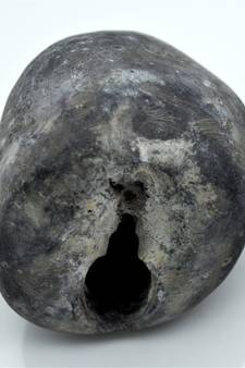 Nepal Gandaki River Original Shaligram Shila Idol Shri Vishnu For Tulsi Puja Stone Fossil In Size (Max: 7 CM) ID-281