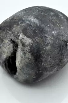 Nepal Gandaki River Original Shaligram Shila Idol Shri Vishnu For Tulsi Puja Stone Fossil In Size (Max: 7 CM) ID-281