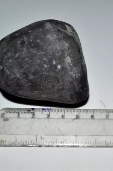 Nepal Gandaki River Original Shaligram Shila Idol Shri Vishnu For Tulsi Puja Stone Fossil In Size (Max: 7 CM) ID-281