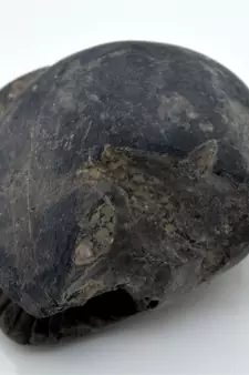 Nepal Gandaki River Original Shaligram Shila Idol Shri Vishnu For Tulsi Puja Stone Fossil In Size (Max: 7 CM) ID-282