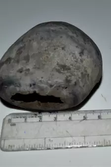 Nepal Gandaki River Original Shaligram Shila Idol Shri Vishnu For Tulsi Puja Stone Fossil In Size (Max: 7 CM) ID-284