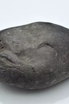 Nepal Gandaki River Original Shaligram Shila Idol Shri Vishnu For Tulsi Puja Stone Fossil In Size (Max: 7 CM) ID-285