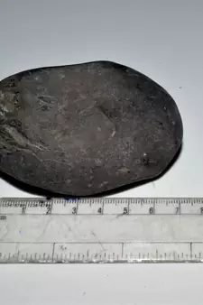Nepal Gandaki River Original Shaligram Shila Idol Shri Vishnu For Tulsi Puja Stone Fossil In Size (Max: 7 CM) ID-285
