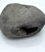 Nepal Gandaki River Original Shaligram Shila Idol Shri Vishnu For Tulsi Puja Stone Fossil In Size (Max: 7 CM) ID-286