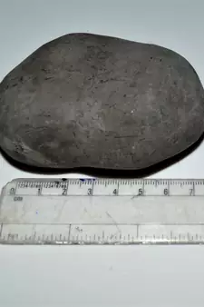 Nepal Gandaki River Original Shaligram Shila Idol Shri Vishnu For Tulsi Puja Stone Fossil In Size (Max: 7 CM) ID-286