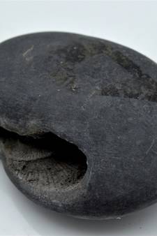 Nepal Gandaki River Original Shaligram Shila Idol Shri Vishnu For Tulsi Puja Stone Fossil In Size (Max: 7 CM) ID-291