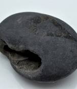 Nepal Gandaki River Original Shaligram Shila Idol Shri Vishnu For Tulsi Puja Stone Fossil In Size (Max: 7 CM) ID-291