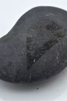 Nepal Gandaki River Original Shaligram Shila Idol Shri Vishnu For Tulsi Puja Stone Fossil In Size (Max: 7 CM) ID-291