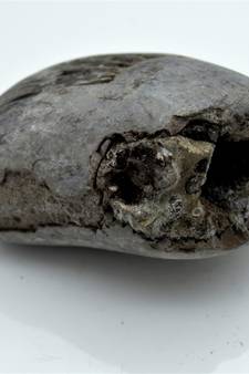 Nepal Gandaki River Original Shaligram Shila Idol Shri Vishnu For Tulsi Puja Stone Fossil In Size (Max: 7 CM) ID-293