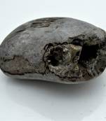 Nepal Gandaki River Original Shaligram Shila Idol Shri Vishnu For Tulsi Puja Stone Fossil In Size (Max: 7 CM) ID-293