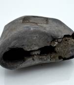 Nepal Gandaki River Original Shaligram Shila Idol Shri Vishnu For Tulsi Puja Stone Fossil In Size (Max: 7 CM) ID-295