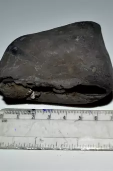Nepal Gandaki River Original Shaligram Shila Idol Shri Vishnu For Tulsi Puja Stone Fossil In Size (Max: 7 CM) ID-295