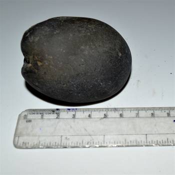 Nepal Gandaki River Original Shaligram Shila Idol Shri Vishnu For Tulsi Puja Stone Fossil In Size (Max: 7 CM) ID-296 4