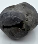 Nepal Gandaki River Original Shaligram Shila Idol Shri Vishnu For Tulsi Puja Stone Fossil In Size (Max: 7 CM) ID-297