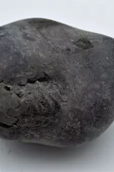 Nepal Gandaki River Original Shaligram Shila Idol Shri Vishnu For Tulsi Puja Stone Fossil In Size (Max: 7 CM) ID-297