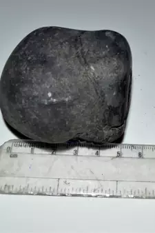 Nepal Gandaki River Original Shaligram Shila Idol Shri Vishnu For Tulsi Puja Stone Fossil In Size (Max: 7 CM) ID-297