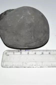 Nepal Gandaki River Original Shaligram Shila Idol Shri Vishnu For Tulsi Puja Stone Fossil In Size (Max: 7 CM) ID-299