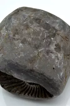 Nepal Gandaki River Original Shaligram Shila Idol Shri Vishnu For Tulsi Puja Stone Fossil In Size (Max: 7 CM) ID-300