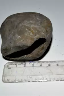 Nepal Gandaki River Original Shaligram Shila Idol Shri Vishnu For Tulsi Puja Stone Fossil In Size (Max: 7 CM) ID-300