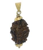 Original 3 Mukhi Nepali Rudraksha Gold Plated Pendant at Wholesale Rate Chakra Healing Three Face Bead Jewelry 1 Pcs