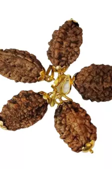 Original 3 Mukhi Nepali Rudraksha Gold Plated Pendant at Wholesale Rate Chakra Healing Three Face Bead Jewelry 1 Pcs
