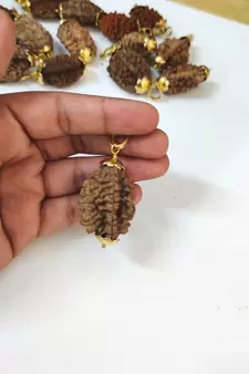 Original 3 Mukhi Nepali Rudraksha Gold Plated Pendant at Wholesale Rate Chakra Healing Three Face Bead Jewelry 1 Pcs