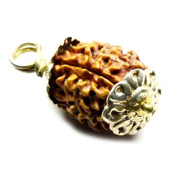 Original 4 Mukhi Nepali Rudraksha Gold Plated Pendant at Wholesale Rate Chakra Healing Four Faced Bead Jewelry 1 Pcs 1