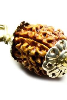 Original 4 Mukhi Nepali Rudraksha Gold Plated Pendant at Wholesale Rate Chakra Healing Four Faced Bead Jewelry 1 Pcs