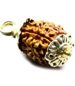 Original 4 Mukhi Nepali Rudraksha Gold Plated Pendant at Wholesale Rate Chakra Healing Four Faced Bead Jewelry 1 Pcs