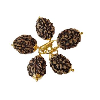 Original 4 Mukhi Nepali Rudraksha Gold Plated Pendant at Wholesale Rate Chakra Healing Four Faced Bead Jewelry 1 Pcs 2