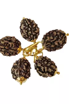 Original 4 Mukhi Nepali Rudraksha Gold Plated Pendant at Wholesale Rate Chakra Healing Four Faced Bead Jewelry 1 Pcs