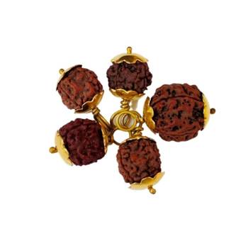 Original 4 Mukhi Nepali Rudraksha Gold Plated Pendant at Wholesale Rate Chakra Healing Four Faced Bead Jewelry 1 Pcs 2