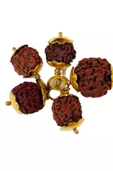 Original 4 Mukhi Nepali Rudraksha Gold Plated Pendant at Wholesale Rate Chakra Healing Four Faced Bead Jewelry 1 Pcs