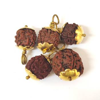 Original 4 Mukhi Nepali Rudraksha Gold Plated Pendant at Wholesale Rate Chakra Healing Four Faced Bead Jewelry 1 Pcs 3