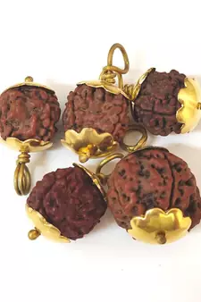 Original 4 Mukhi Nepali Rudraksha Gold Plated Pendant at Wholesale Rate Chakra Healing Four Faced Bead Jewelry 1 Pcs