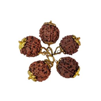 Original 5 Mukhi Nepali Rudraksha Gold Plated Pendant at Wholesale Rate Chakra Healing Five Faced Bead Jewelry 1 Pcs 2